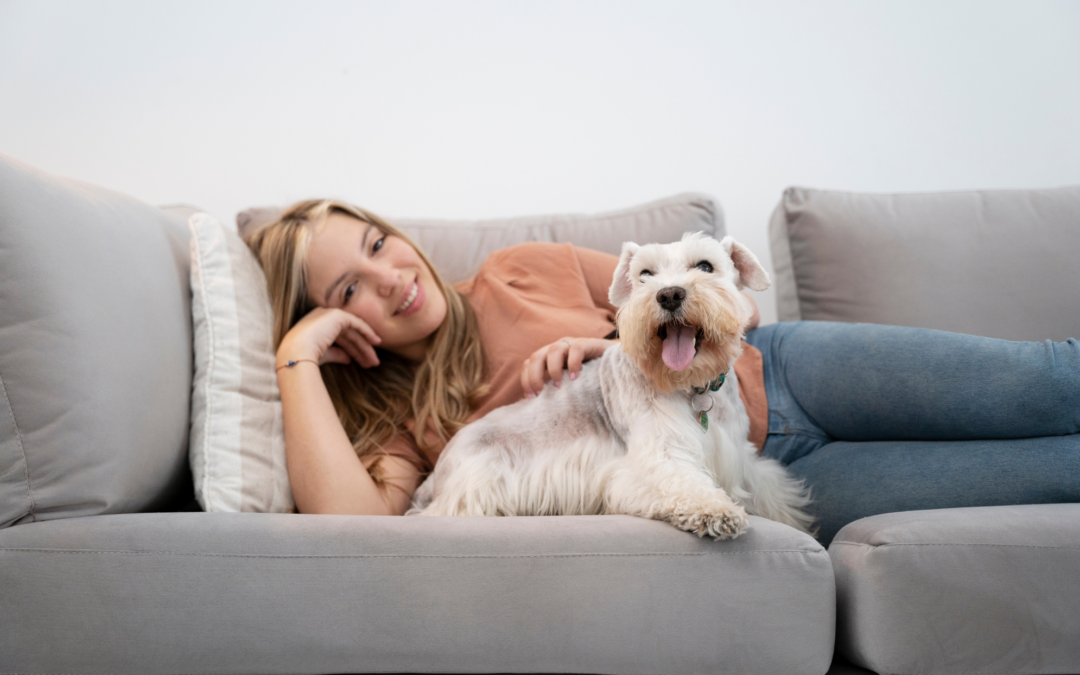 Telas resistentes para familias con mascotas: Estilo y funcionalidad