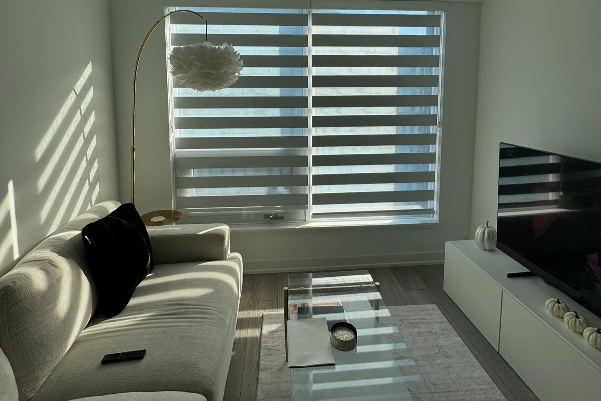 Persianas Zebra: elegancia, control de luz y estilo para cualquier espacio Prueba